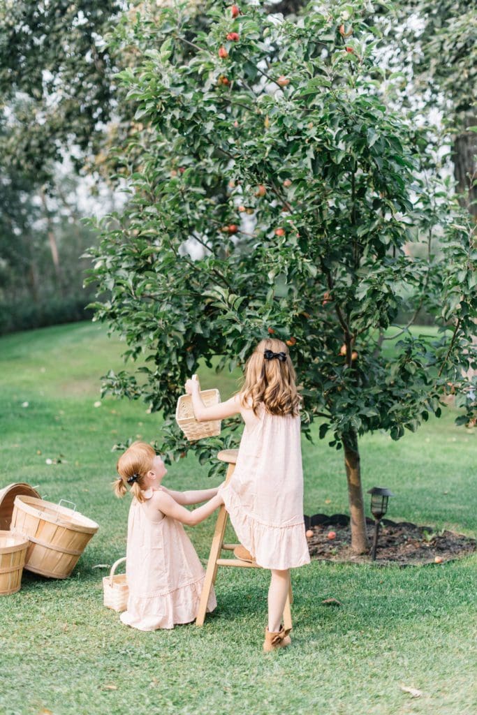 Little girls picking apples