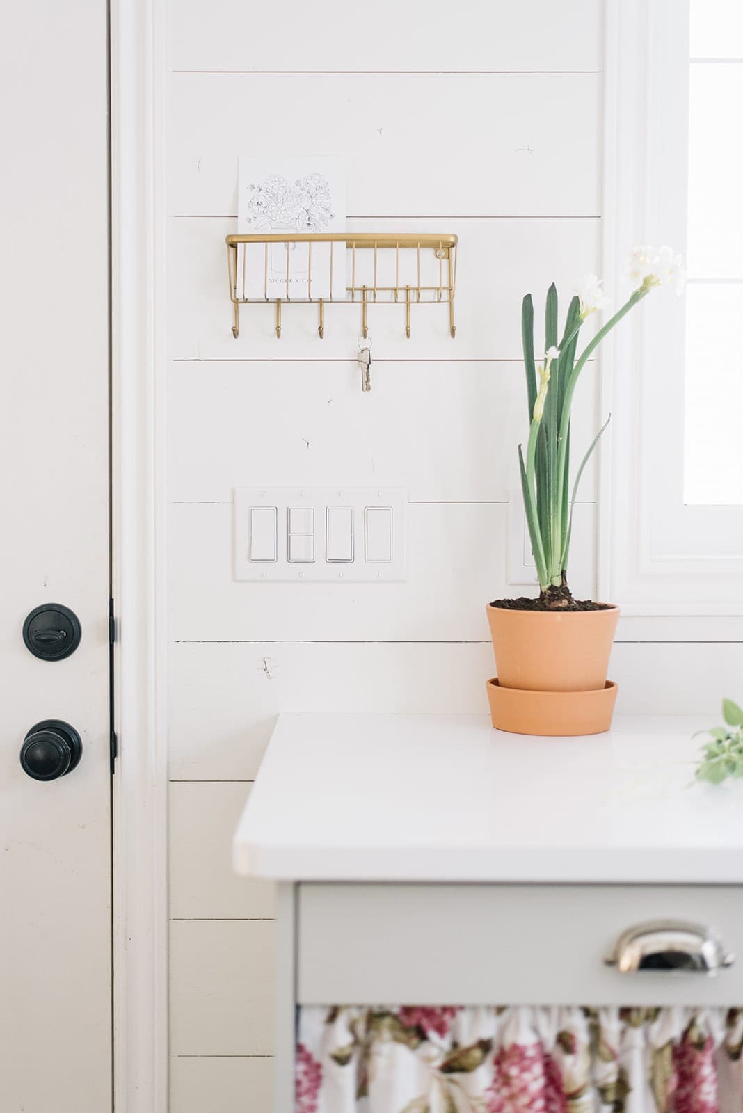 Paperwhites in a terracotta pot are a beautiful winter decorating idea