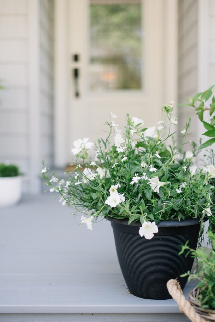 White flower tubs on front porch