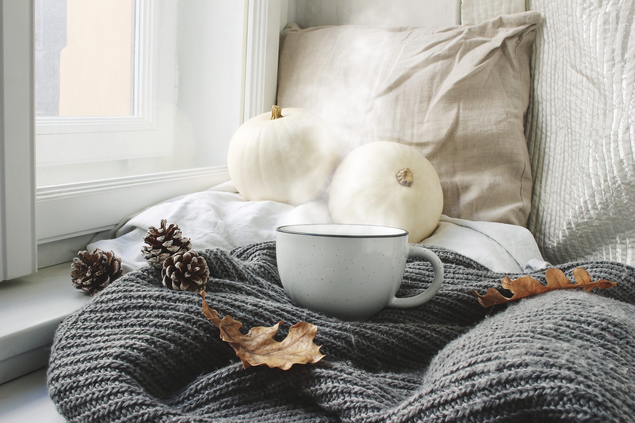 A cup of steaming coffee sitting on top of a window seat with pumpkins leaves and pinecones