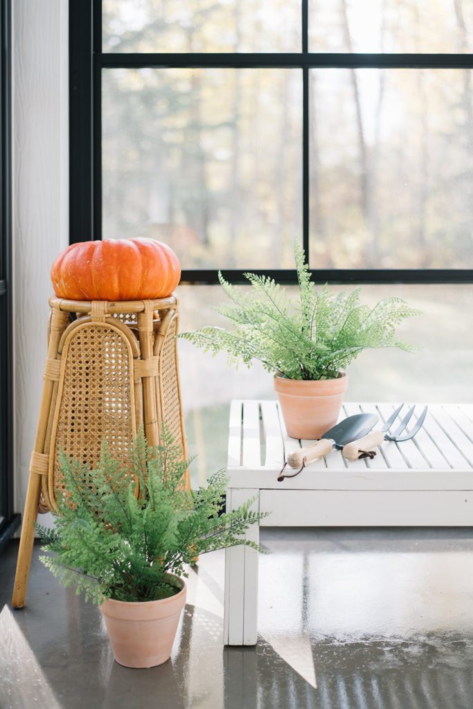 a pumpkin sits on a rattan plants stand next to plants