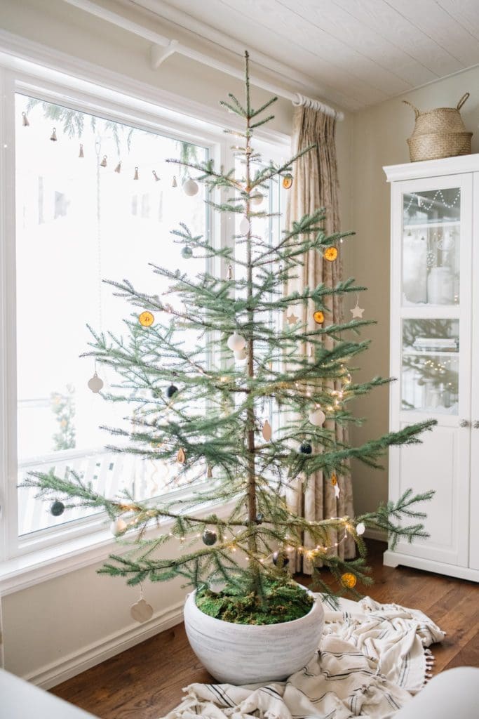 Charlie Brown Christmas tree with dried orange Garland