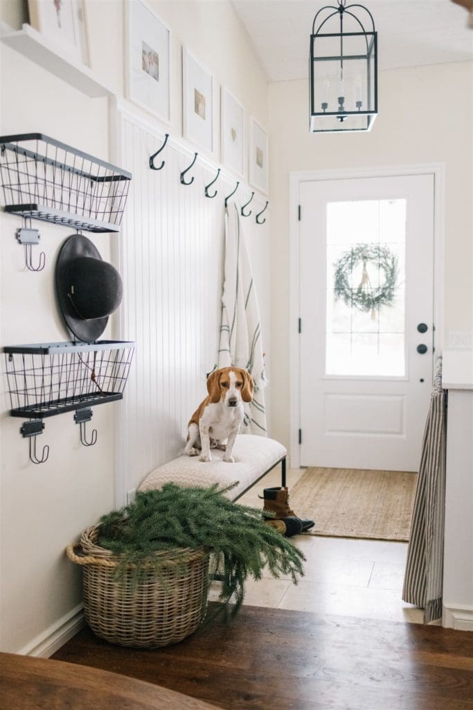 A dog sitting on an entryway bench beside a basket of greens