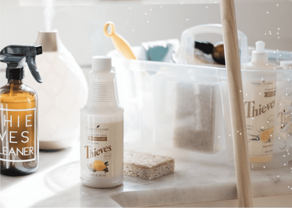 Free Printable Cleaning Charts - The Ginger Home