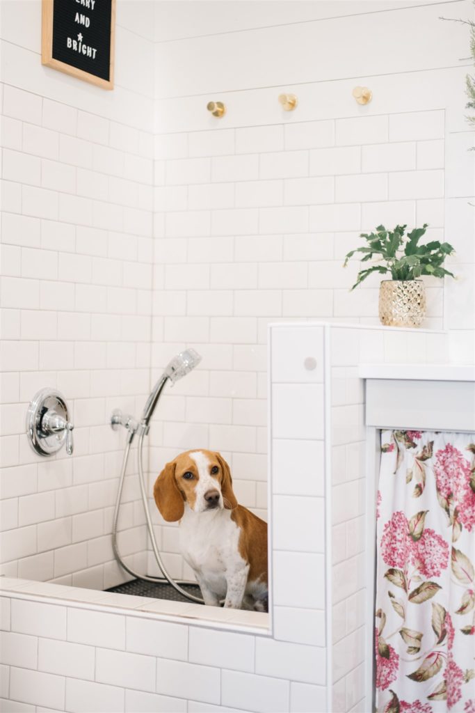 A dog wash is a handy addition to a mudroom
