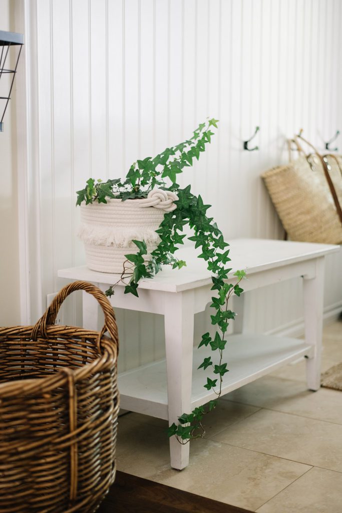 potted ivy sits on bench in entryway