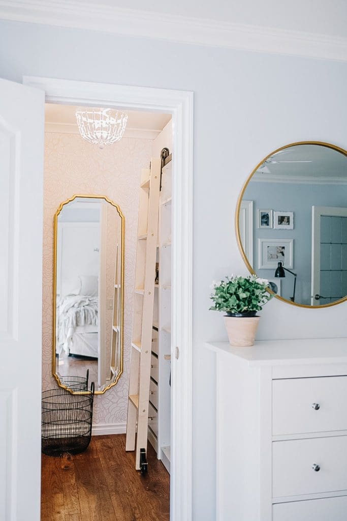 walk in closet with rolling ladder