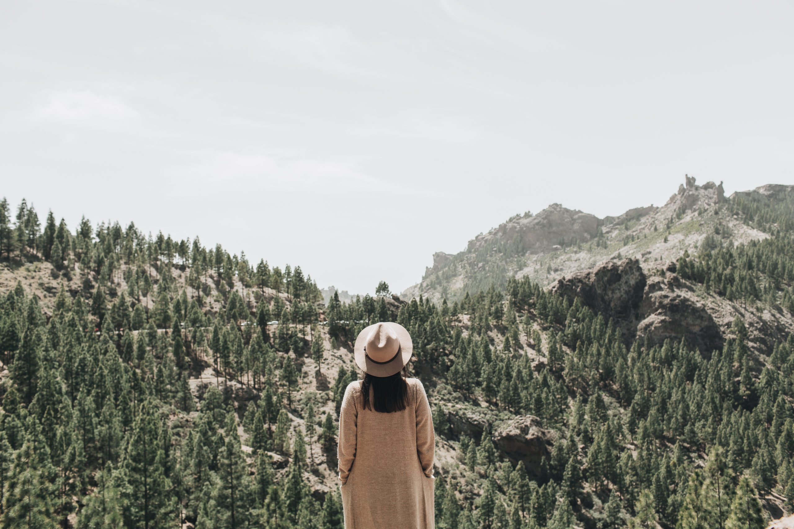 a woman stands staring at mountains covered in trees