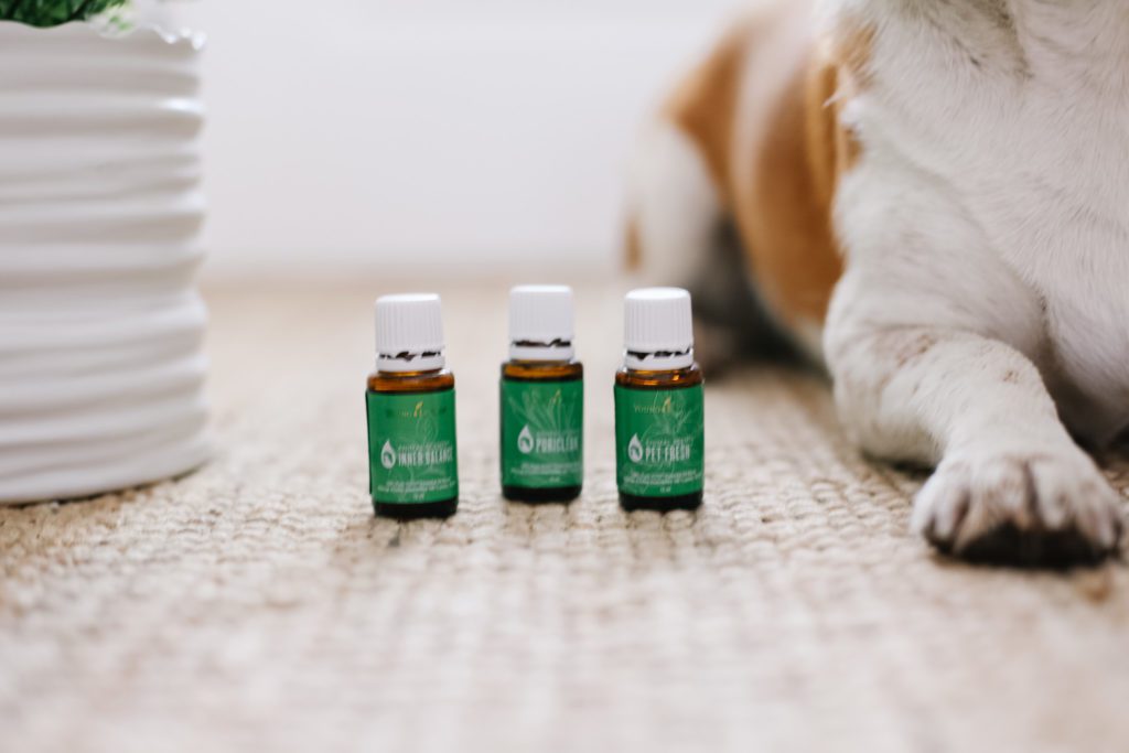 3 bottles of essential oil blends just for dogs