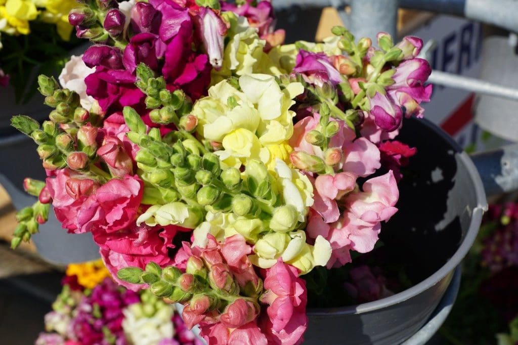 A close up of a bucket of cut flowers