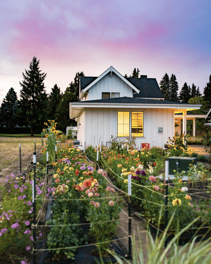 12 of the Easiest Flowers to Grow in a Midwest Cutting Garden