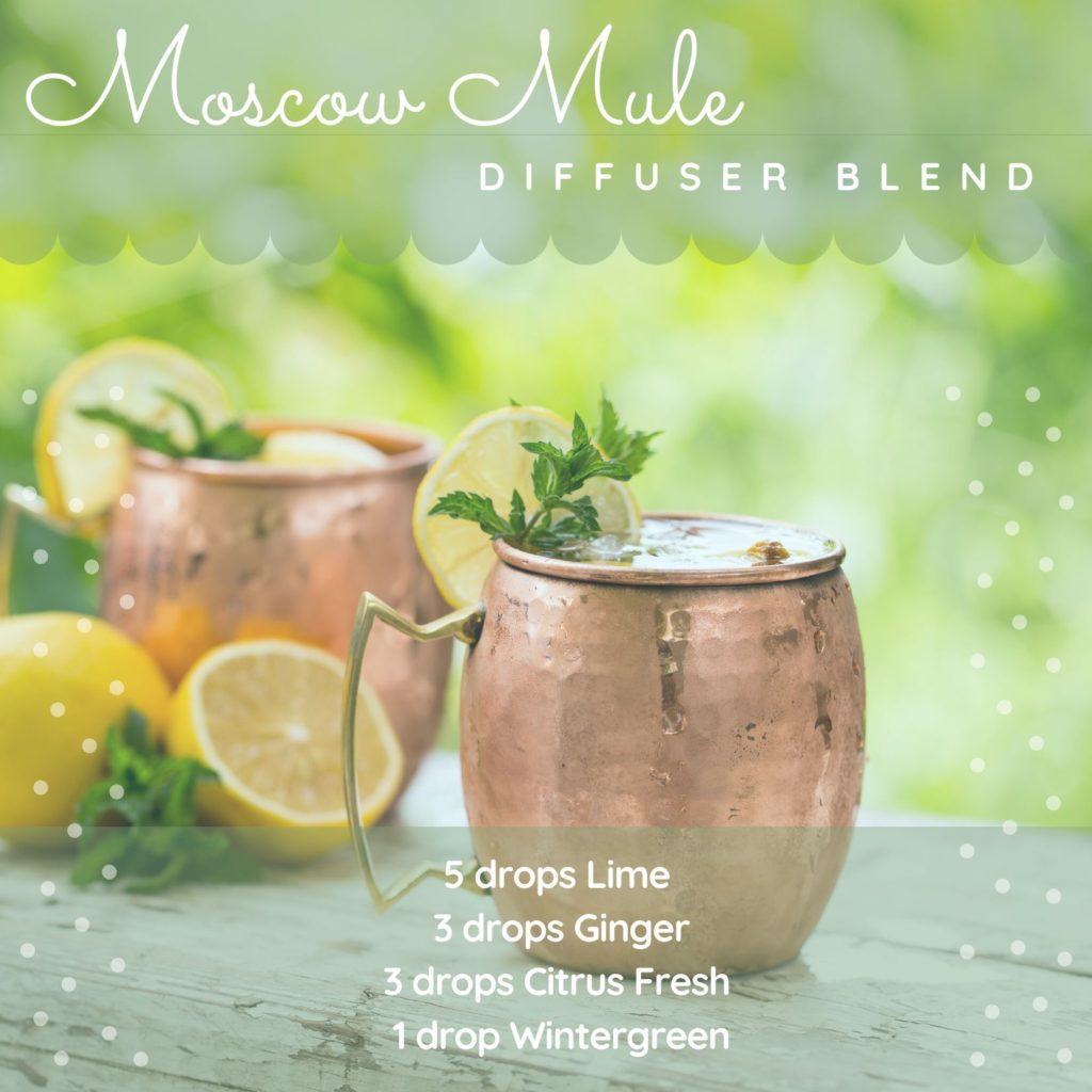 moscow mule diffuser blend recipe