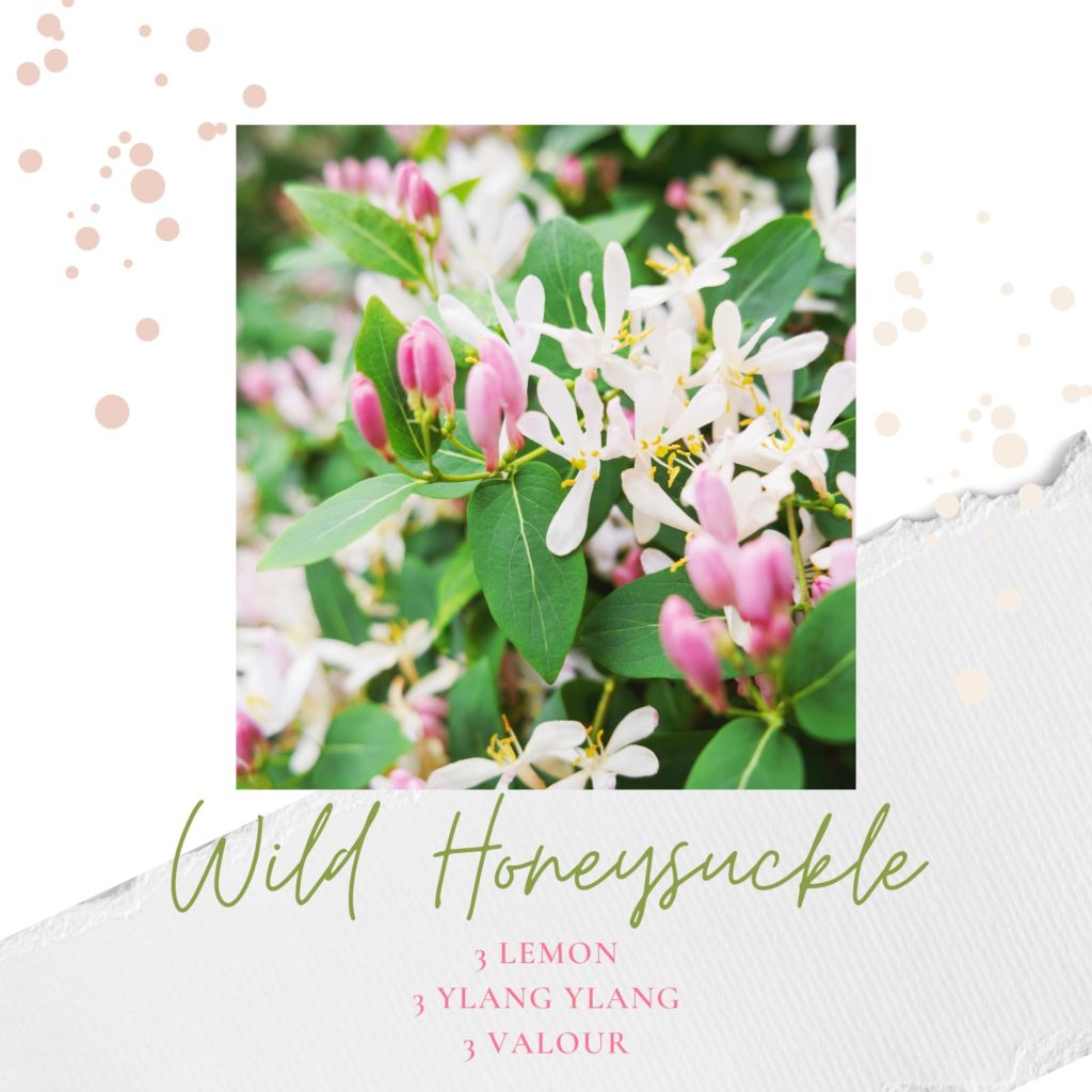 wild honeysuckle diffuser blend recipe