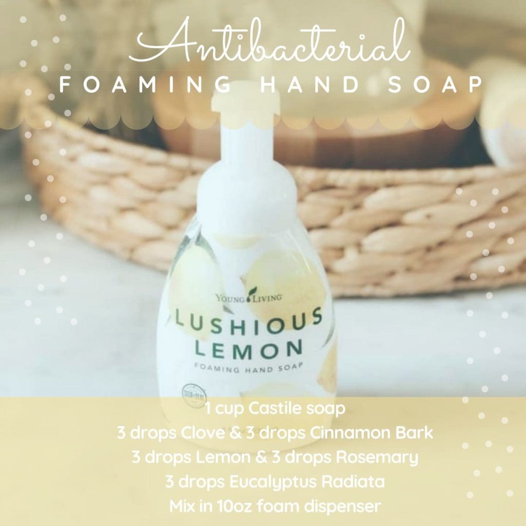 antibacterial foaming hand soap recipe