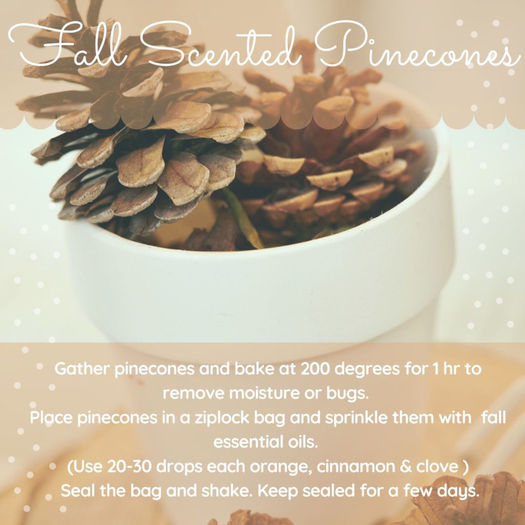 fall scented pincones recipe
