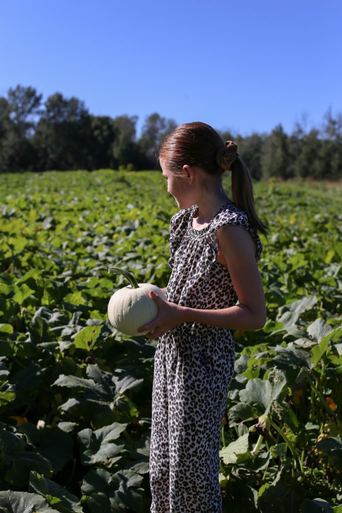 a girl holds a white pumpkin looking out into the field