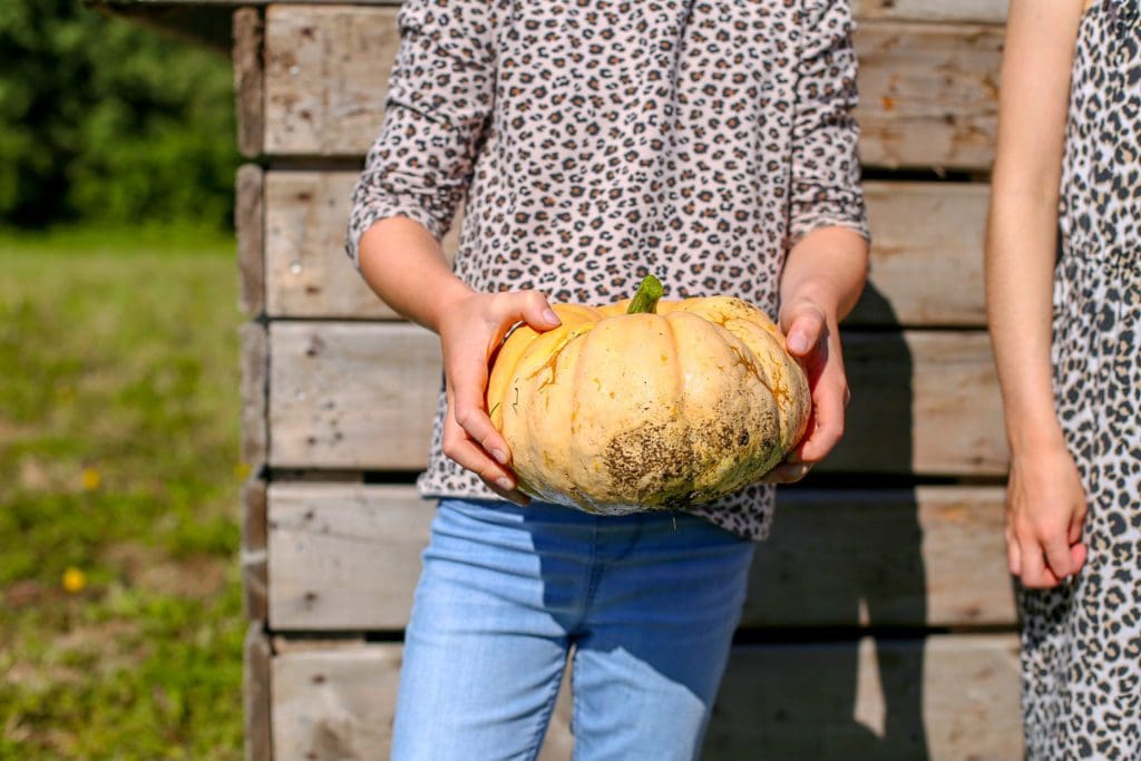 a girl holds a cinderalla pumpkin