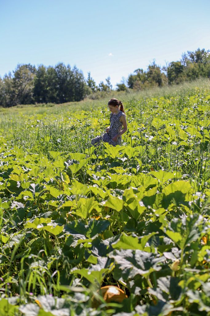 a girl walks through a field 