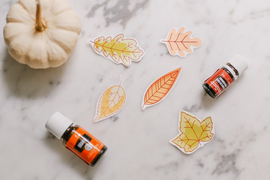 Free printable fall leaf stickers cut out sitting on a marble counter beside a pumpkin and essential oil bottles