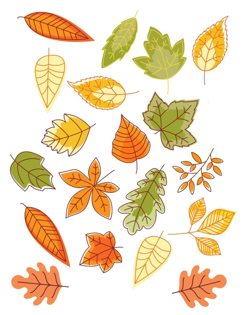 Fall leaf graphics