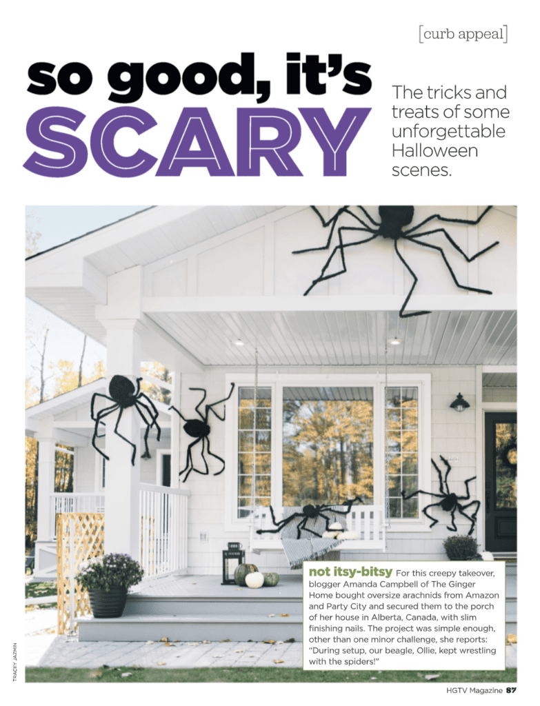 HGTV giant spider feature page
