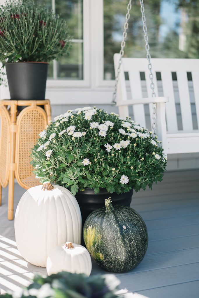 basket of white mums and pumpkins on fall front porch