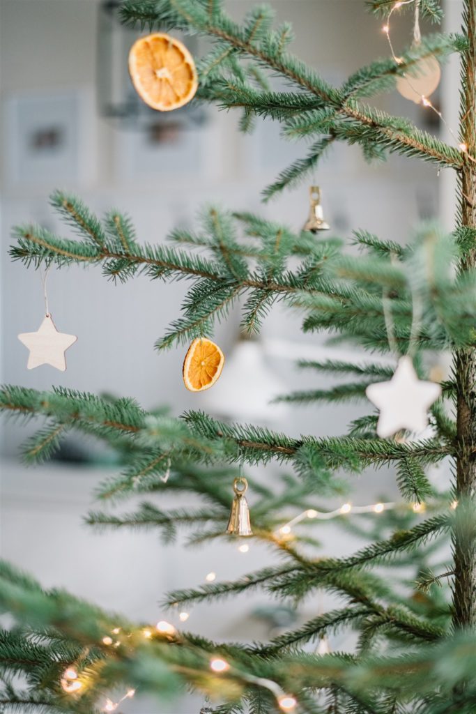 Dried orange Christmas tree ornament