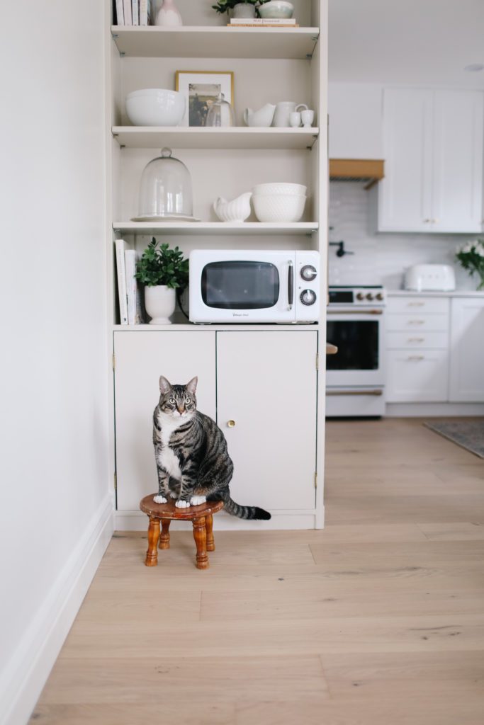 A cat sitting on top of wooden stool in front of kitchen shelves
