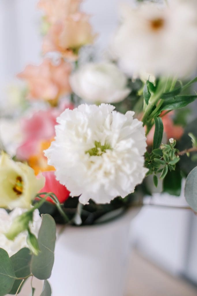 A close up of a white carnation