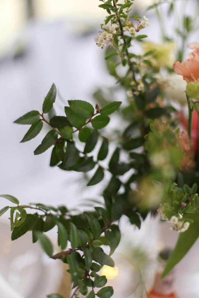 A close up of greens in a floral arrangement