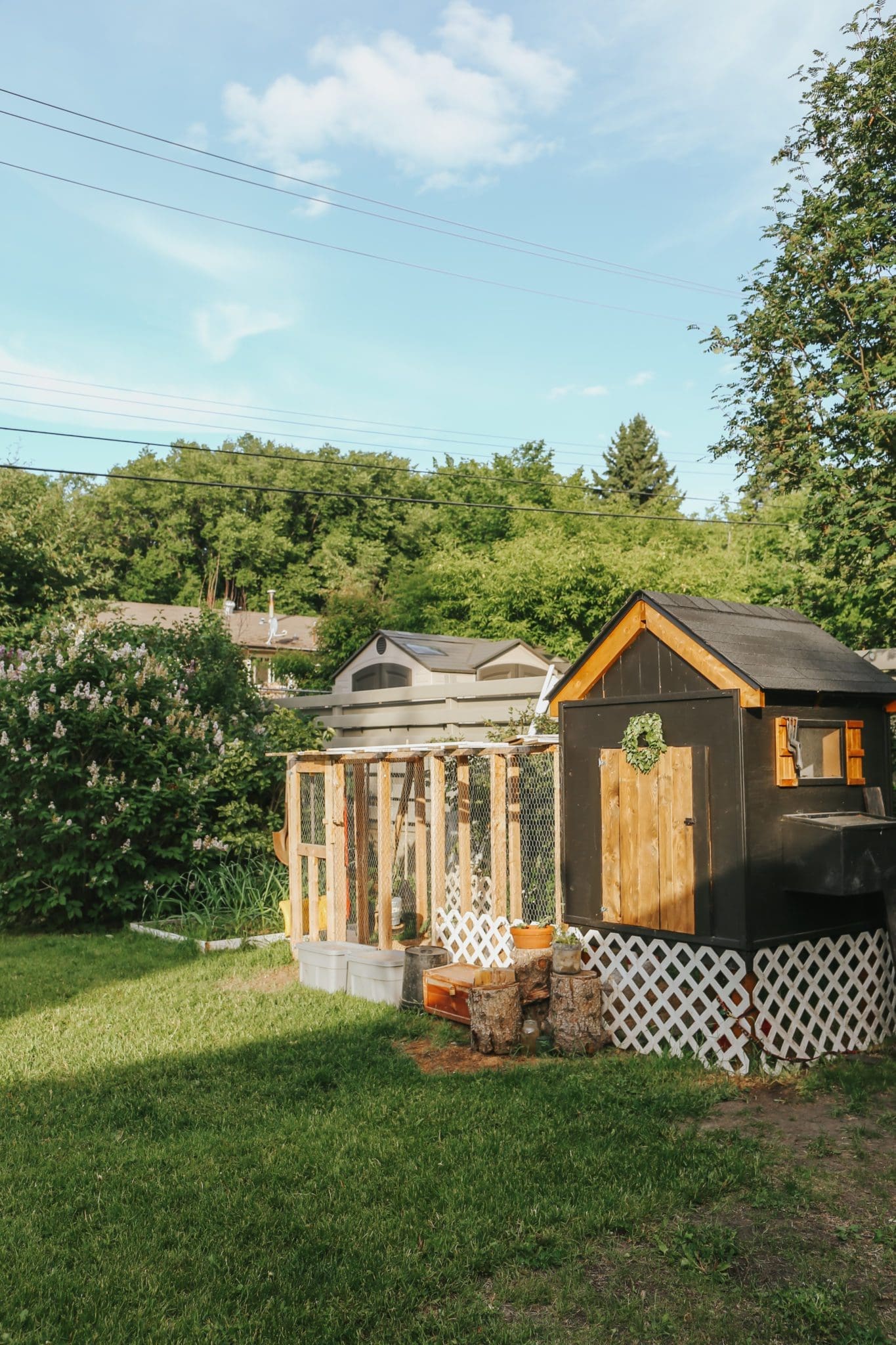 A Beginner's Guide to Urban Homesteading - The Ginger Home