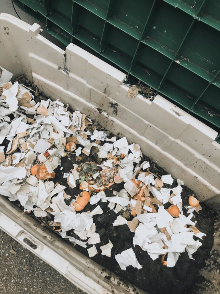 A backyard compost pile with egg shells - a great way to start urban homesteading