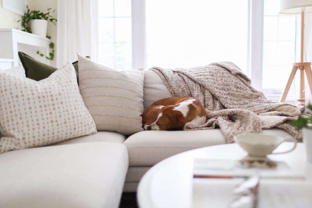 Your Guide to Styling Sofa Throw Pillows